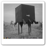 IMAG0111