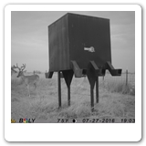 IMAG0115