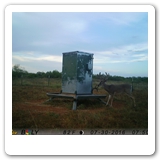 IMAG0142
