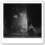 IMAG0145 (1)