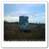 IMAG0154